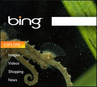Google-Microsoft Search Cheat Charges Heat Up