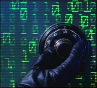 ID Theft Threat Grows With 1M Already Hit in ’09