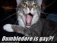 LOLcat Harry Potter Spoof