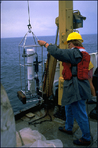 A Wireless Web For Ocean Waters