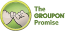 Is Groupon the next Google or Pets.com?