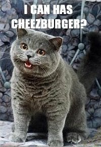 I CAN HAS CHEEZBURGER