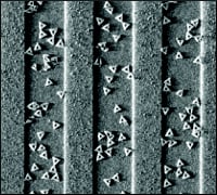 IBM Looks to DNA for Chip-Building Tech