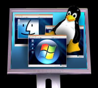 Virtualization: Doing More Harm Than Good?